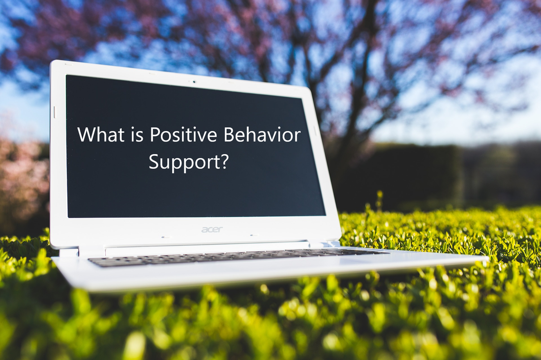 What is Positive Behavior Support?